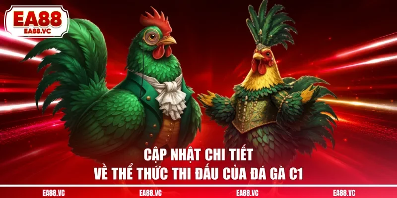 Cập nhật chi tiết về thể thức thi đấu của đá gà C1