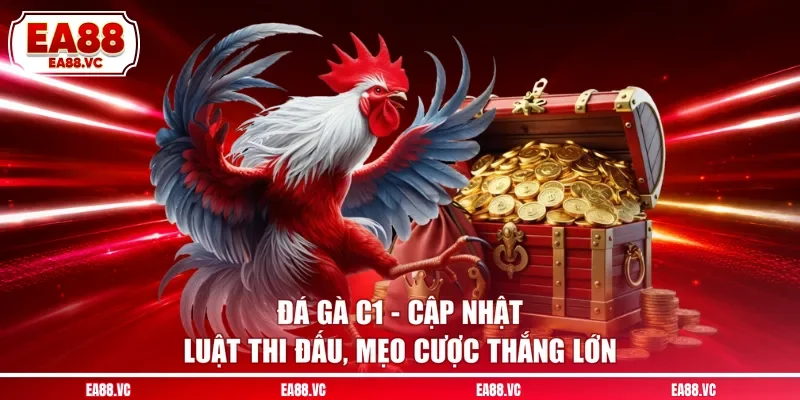 Đá Gà C1 - Cập Nhật Luật Thi Đấu, Mẹo Cược Thắng Lớn