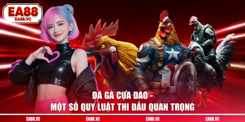 Đá Gà Cựa Dao - Một Số Quy Luật Thi Đấu Quan Trọng
