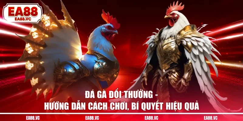 Đá Gà Đổi Thưởng - Hướng Dẫn Cách Chơi, Bí Quyết Hiệu Quả