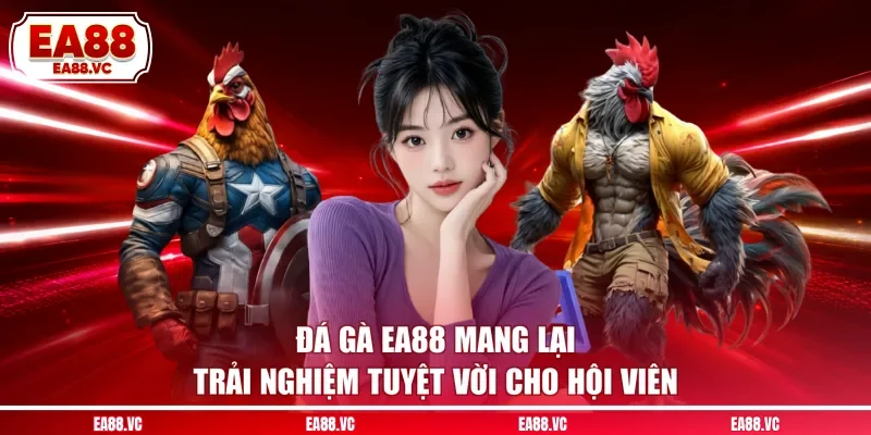 Đá gà EA88 mang lại trải nghiệm tuyệt vời cho hội viên