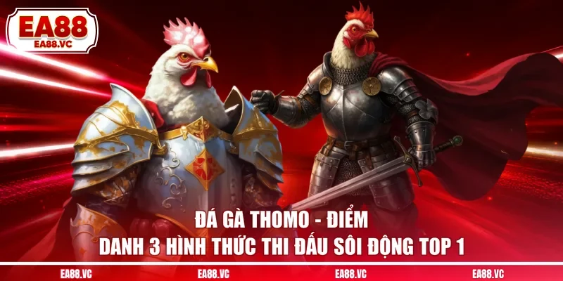 Đá Gà Thomo - Điểm Danh 3 Hình Thức Thi Đấu Sôi Động Top 1