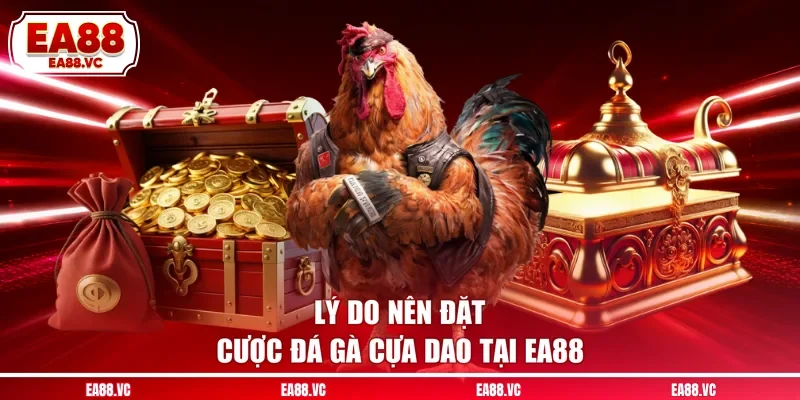 Lý do nên đặt cược đá gà cựa dao tại EA88