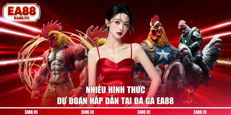 Nhiều hình thức dự đoán hấp dẫn tại đá gà EA88