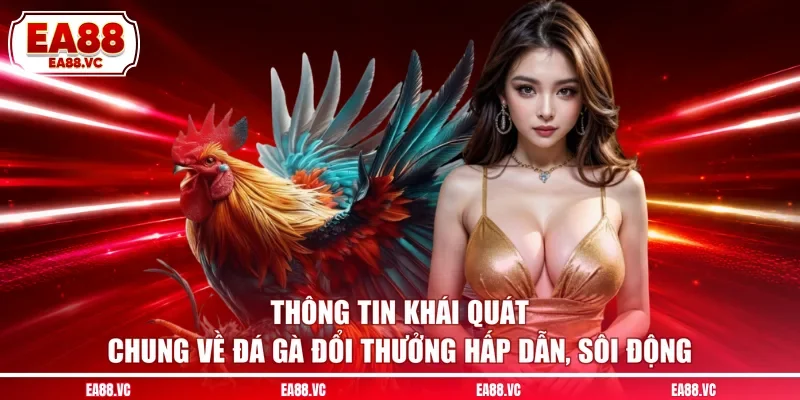 Thông tin khái quát chung về đá gà đổi thưởng hấp dẫn, sôi động