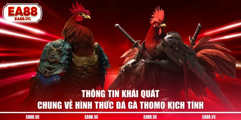 Thông tin khái quát chung về hình thức đá gà Thomo kịch tính